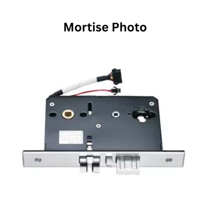 Die Casting 304# Latch and Deadbolt