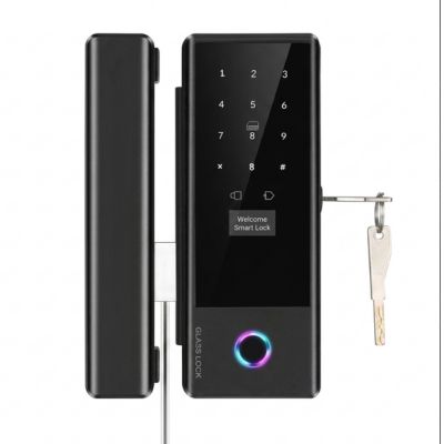 glass-door-fox-domotics